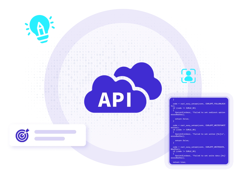 Customised API technology access